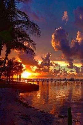 Sunset Serenity at Paradise Ice Sea 🌅🌴