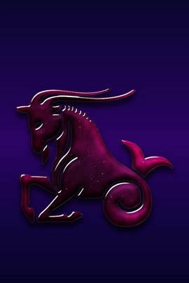 Zodiac Capricorn Unicorno  tokidoki