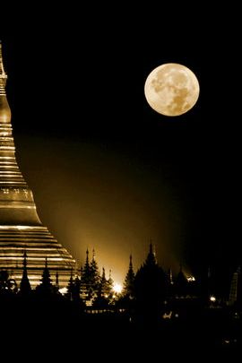 Lunar Dreams: A Glimpse of Golden Serenity 🌙✨