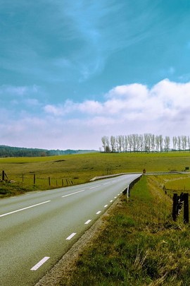 Journey Through Sweden Hill Road 🌳🚗