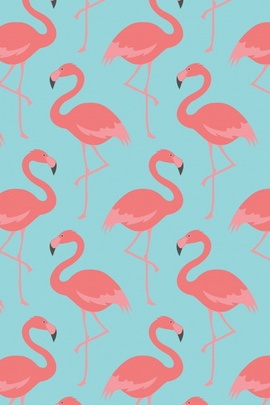 Corak Flamingo