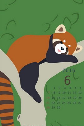 Panda Kecil
