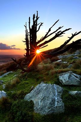 Nature's Canvas: A Stunning Sunset Display 🌅