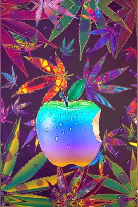 Apple Dew & Cannabis