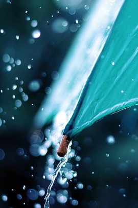 Dancing Drops: A Symphony of Rain