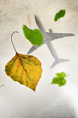 Soaring Through Autumn's Embrace 🍂✈️