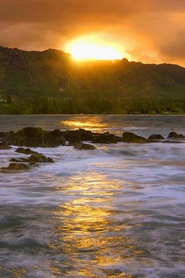 Golden Horizon: A Seaside Serenade 🌅