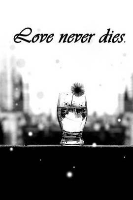 Eternal Blossoms 🌼💧