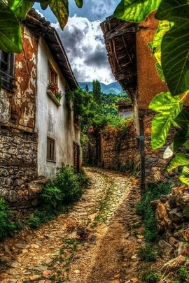 Enchanted Journey Through a Rustic Village 🌿✨