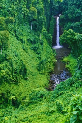 Nature Et Decouverte (213)