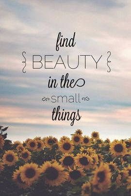 Поиск красоты в маленьких вещах