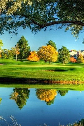 Serenity in Nature's Em..