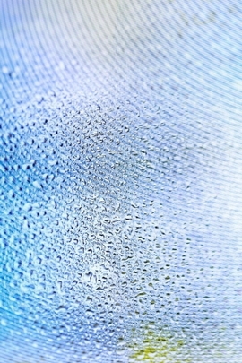 Wallpapers For Android (116)