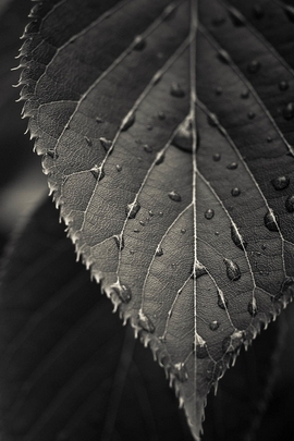 Nature Et Decouverte (135)