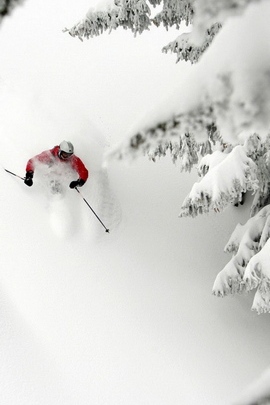 माउंटन स्कीइंग डेसेंट हिम एक्स्ट्रीम ट्रीज फू ट्रेस् 879 9 720x1280