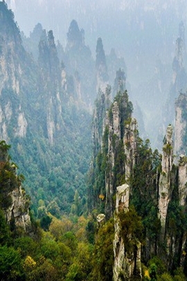Wallpaper Naturehd (139)