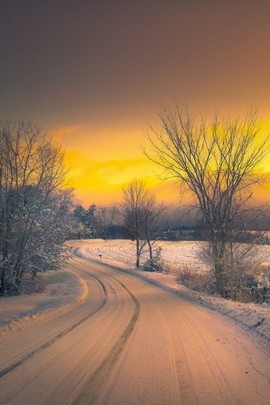 शीतकालीन रोड