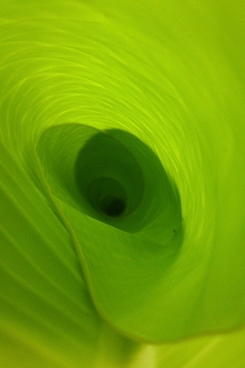 Nature Et Decouverte (109)