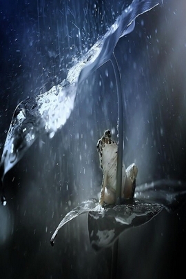 Wallpaper Naturehd (145)