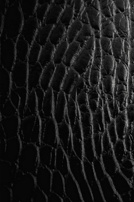Leather Texture
