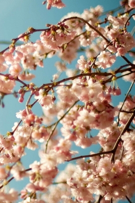 Nature Et Decouverte (157)