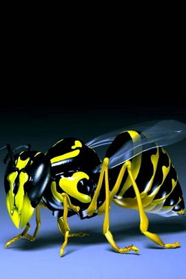 蜜蜂黄色