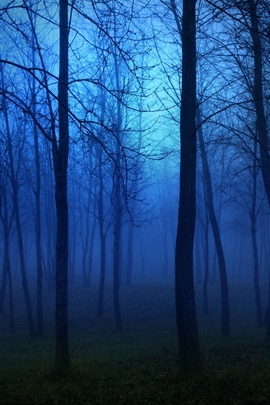 Nature Et Decouverte (218)