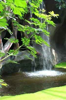 Nature's Tranquil Cascade 🌿💦
