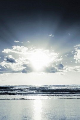 Whitey Sunshine Sea view
