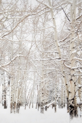 Nature Et Decouverte (118)