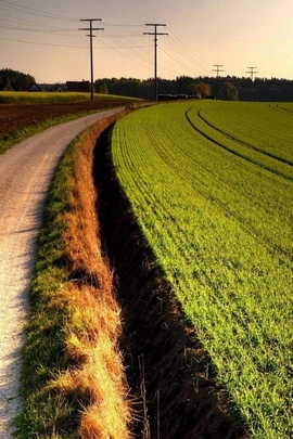 Thanh thản trong màu xanh: Sự ôm ấp của thiên nhiên 🌿