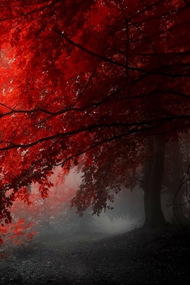 Nature Et Decouverte (131)