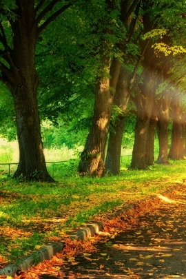 Nature Et Decouverte (145)