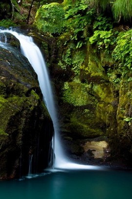 Jungle Waterfall