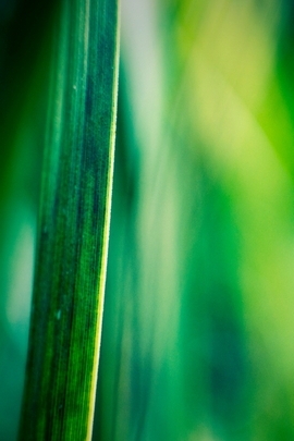 Nature Et Decouverte (121)