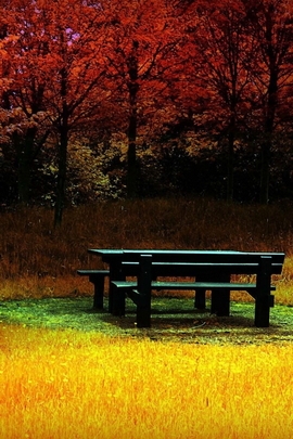 Nature Et Decouverte (142)