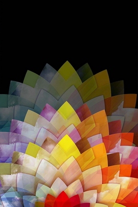 Flaower: A Burst of Color 🌸✨