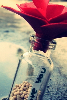 Whispers of Love in a Bottle 🌹✨