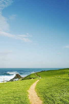 Coast Green Copy