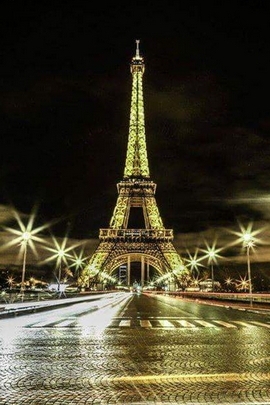 Eiffel Glow: A Night in Paris 🌟