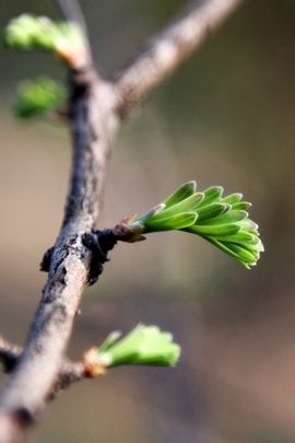 Nature Et Decouverte (130)