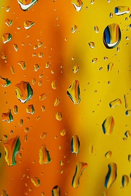 Droplets of Color: Nature's Artistry 🌈💧