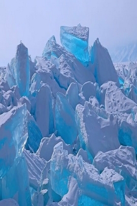 Wallpaper Naturehd (201)
