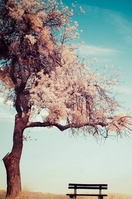 Nature Et Decouverte (190)