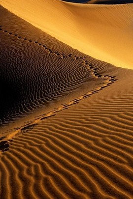 Namib Foothpath Desert