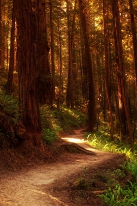 Nature Et Decouverte (210)