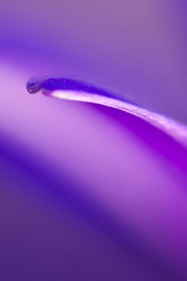 Wallpapers For Android (179)