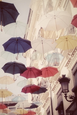 Umbrella Dreams: A Colorful Canopy
