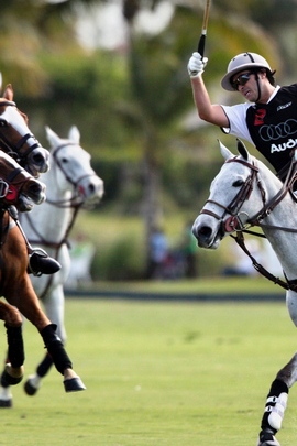 Polo Sportsmen Blow Horses Game 11301 720x1280