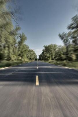 Journey Through the Carretera 🌳🚗